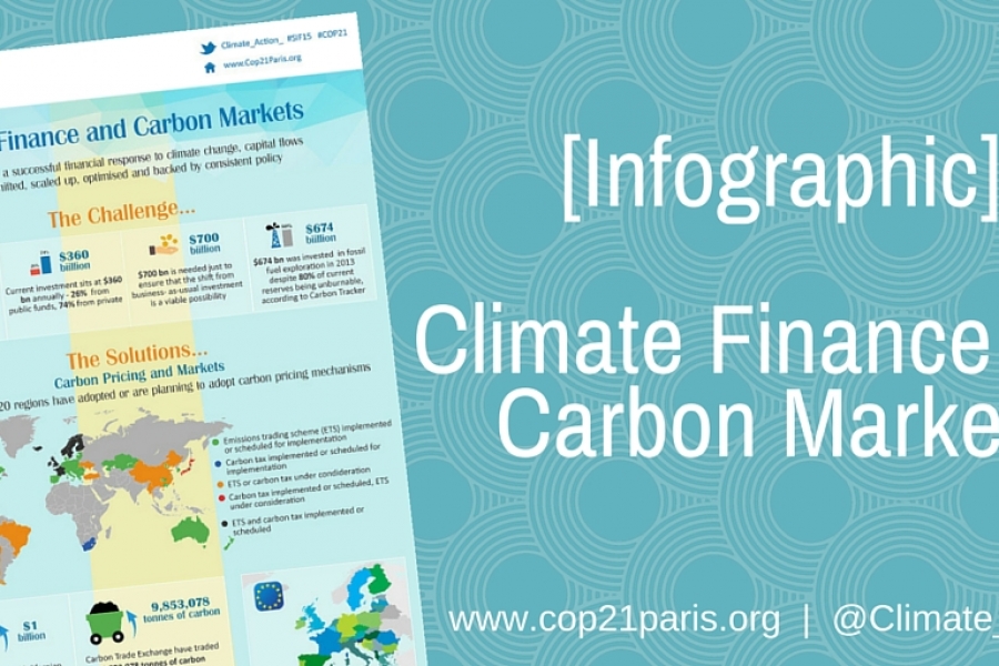 Climate Finance and Carbon Markets